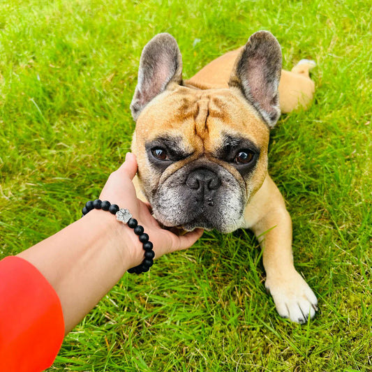 Paw Print Promise Bracelet